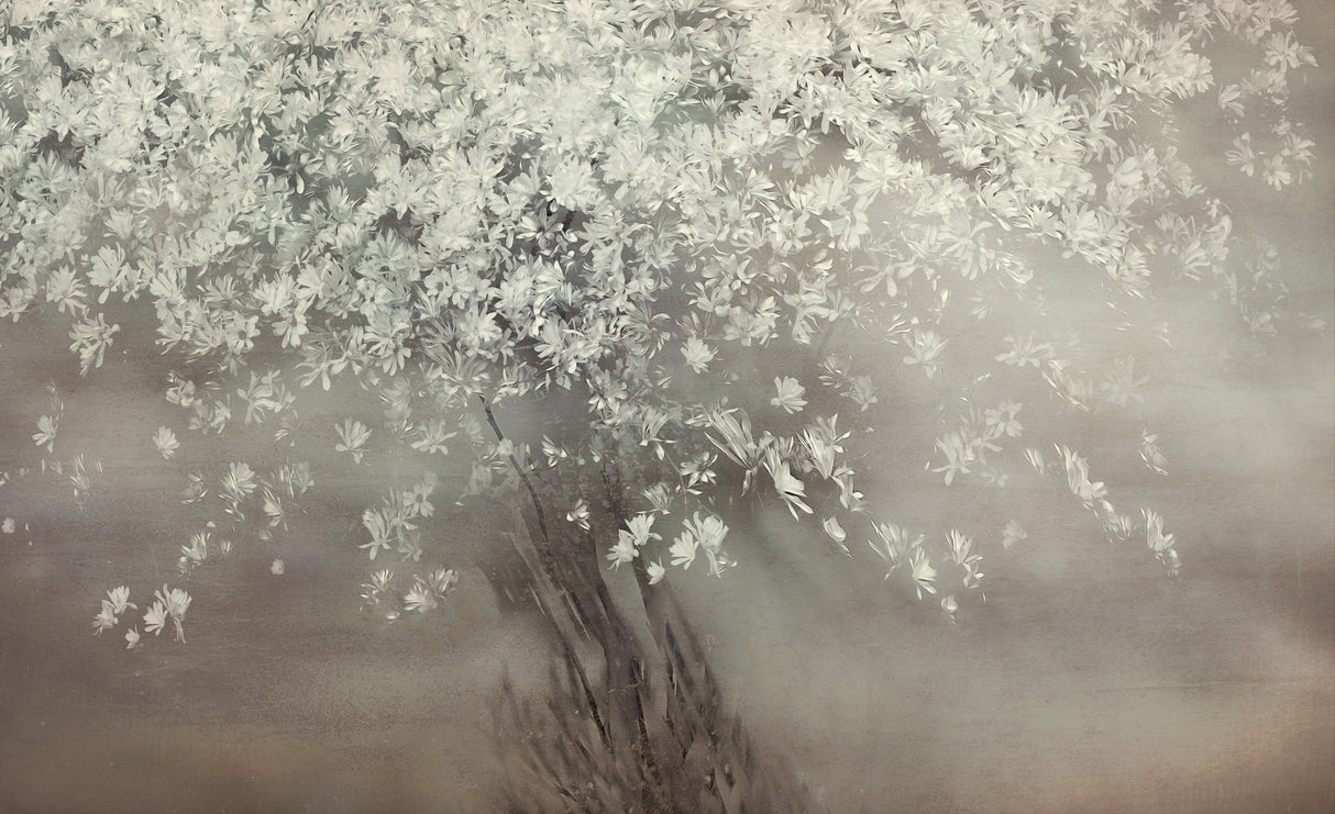 Stars of spring Poster och Canvastavla