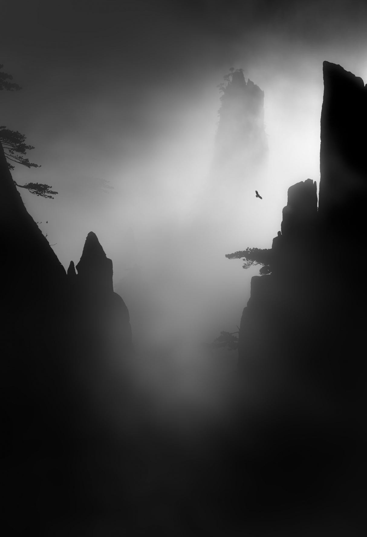 Mountain and bird Poster och Canvastavla