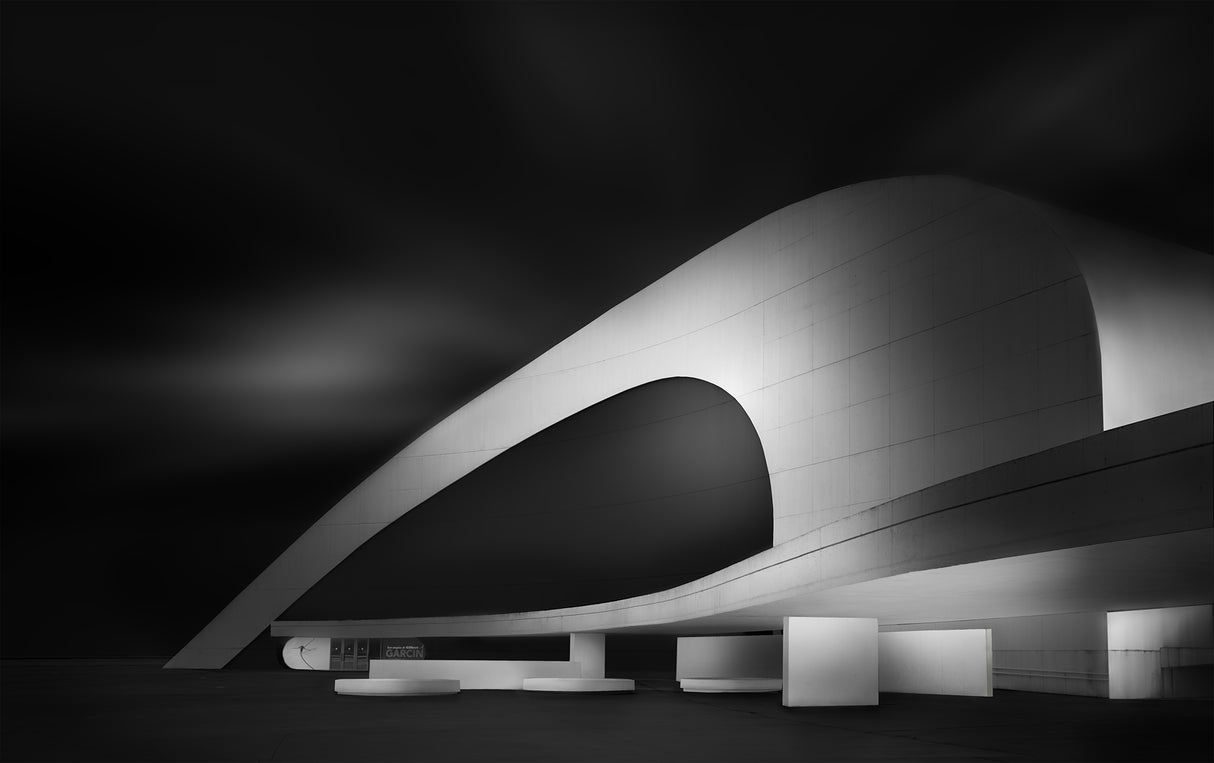 Niemeyer art Poster och Canvastavla