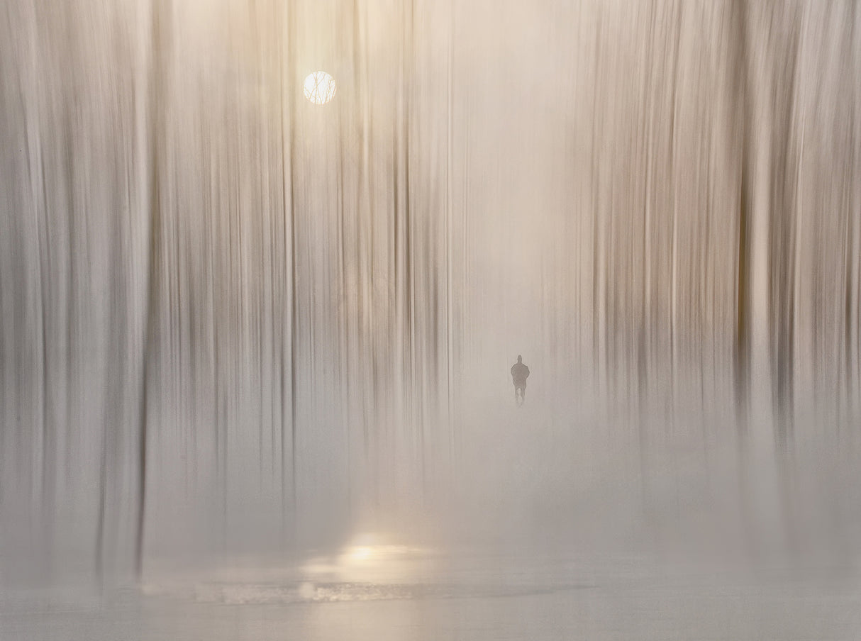 Winterwalk Poster och Canvastavla