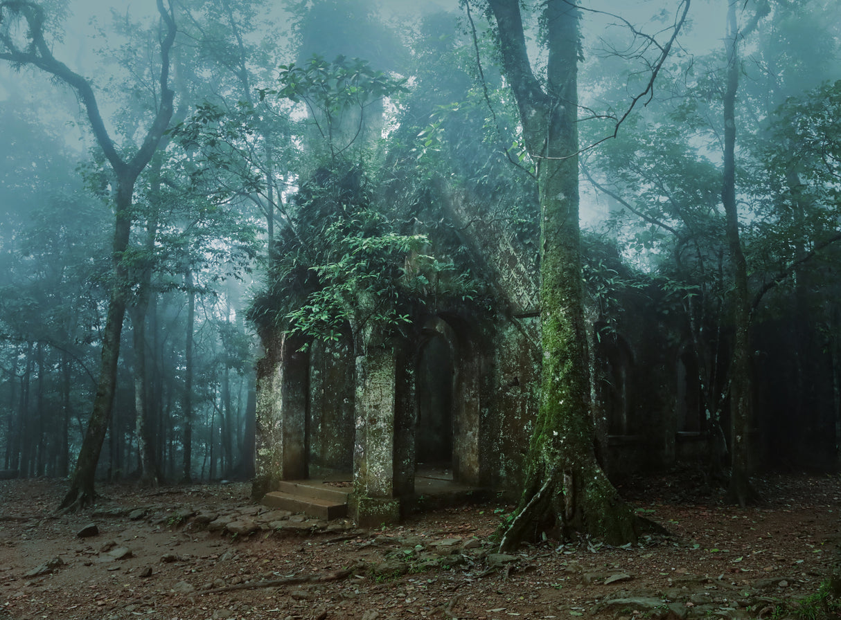 Forgotten place Poster och Canvastavla
