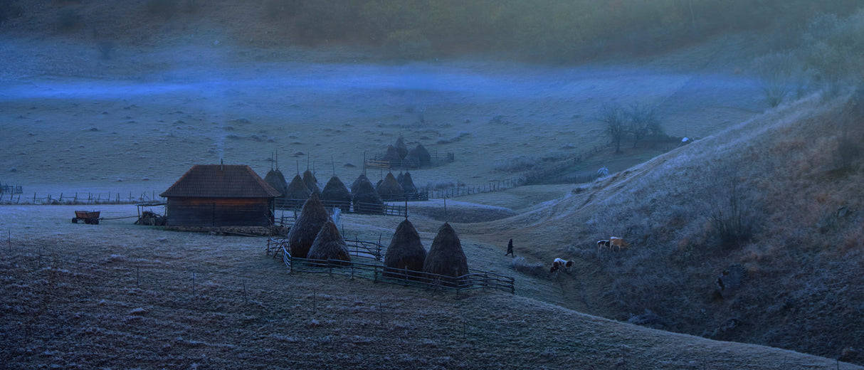Early morning village Poster och Canvastavla