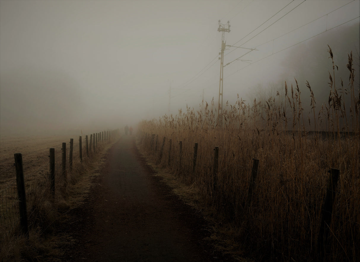 Deeply into the fog Poster och Canvastavla