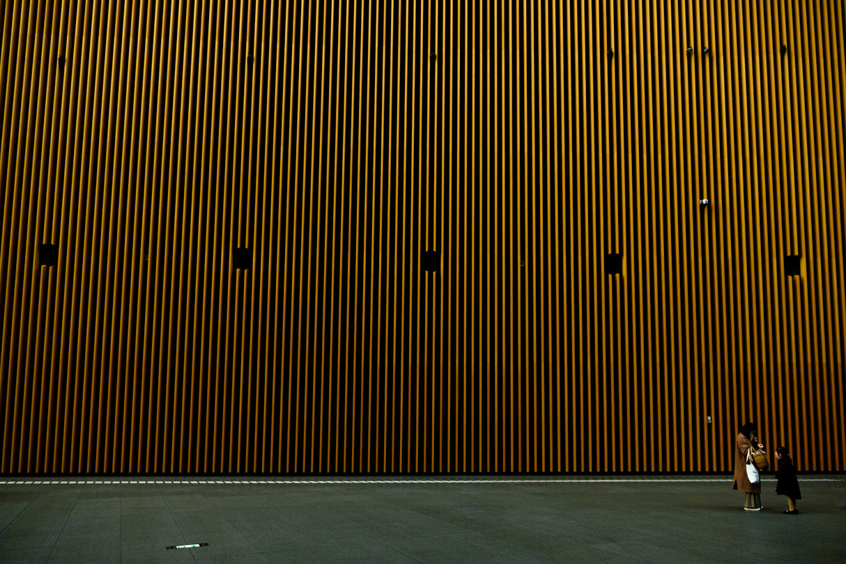 Wall Poster och Canvastavla