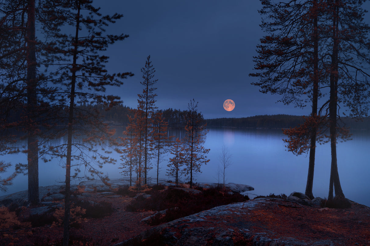 Red Moon Poster och Canvastavla