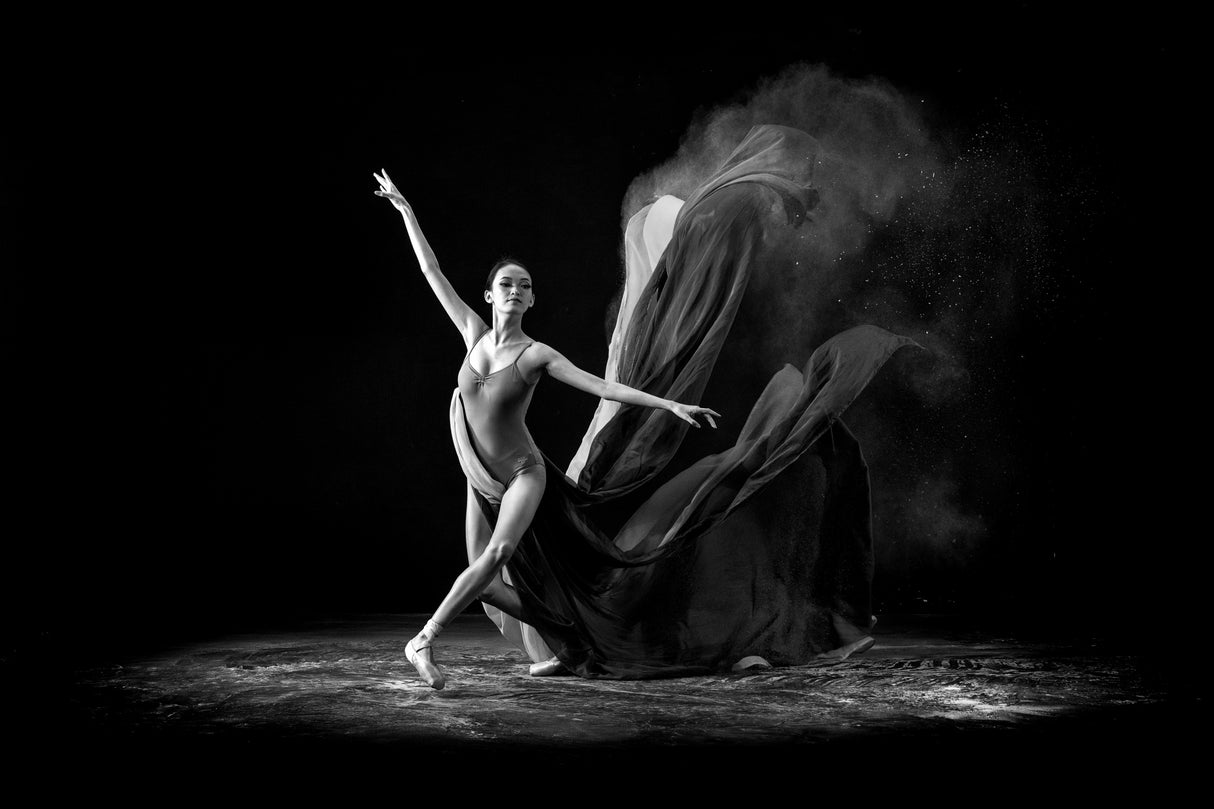 Step of Balerina Poster och Canvastavla