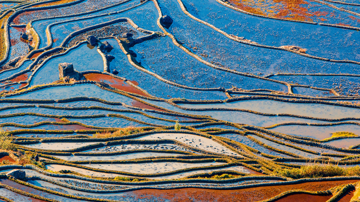 Terraced Field-4 Poster och Canvastavla