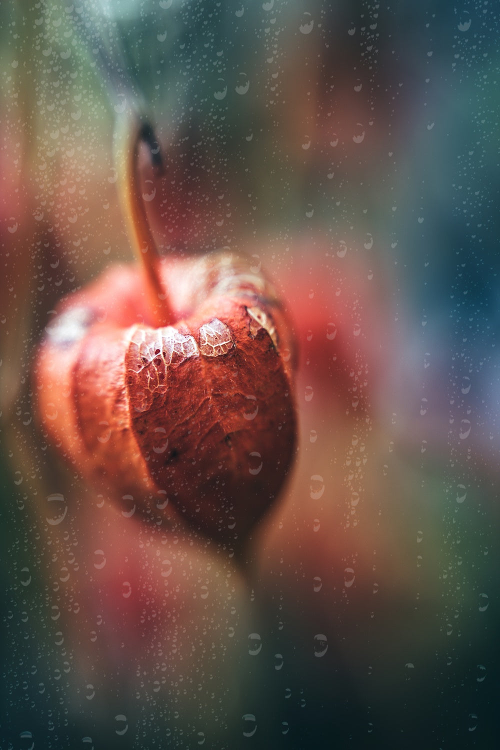 Autumn Impression Poster och Canvastavla