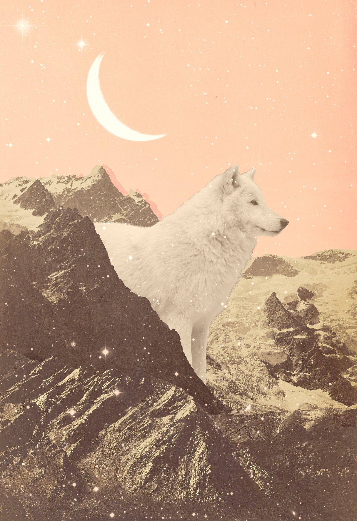 Giant White Wolf In Mountains Poster och Canvastavla