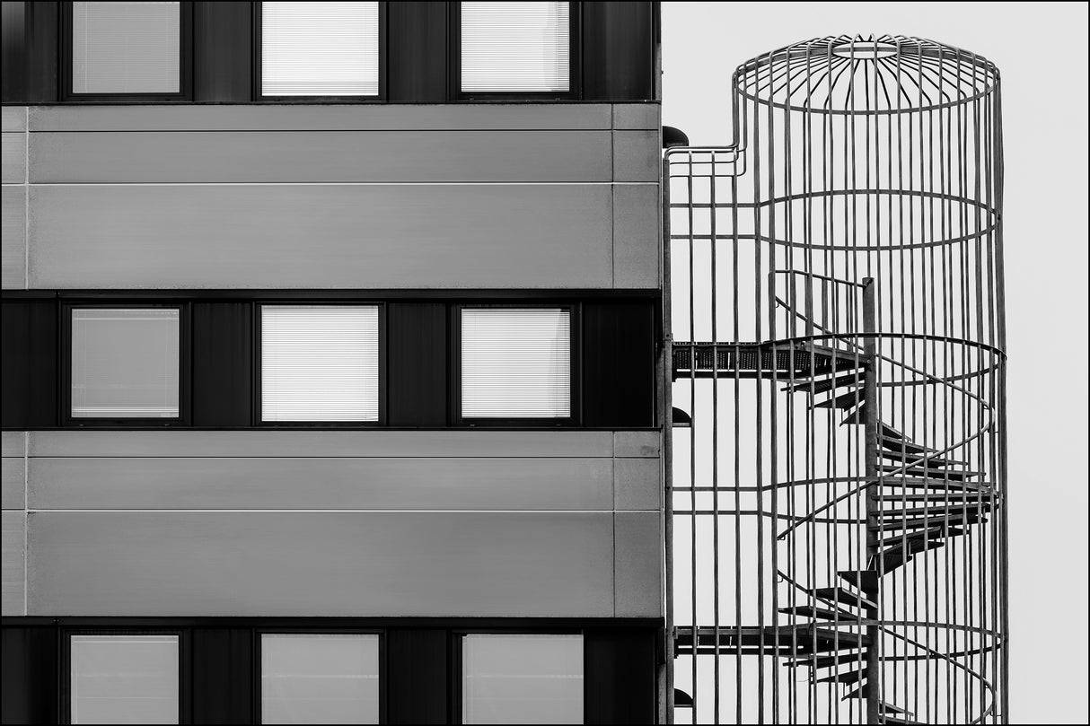 Caged with a way out Poster och Canvastavla