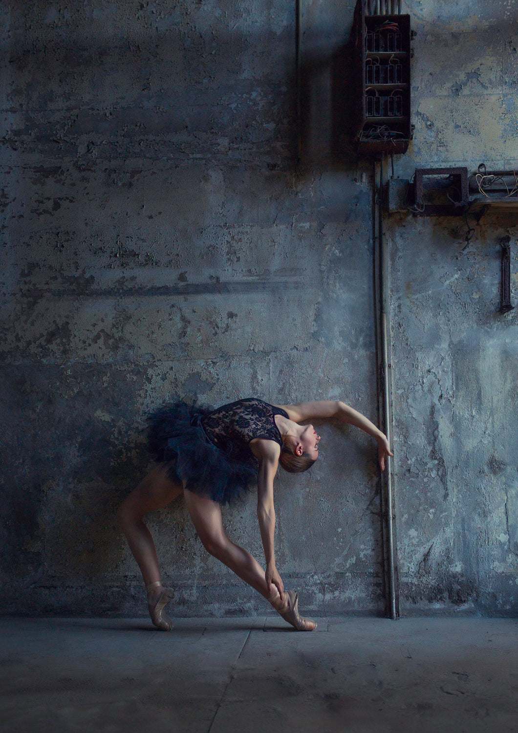 Derelict Ballet Poster och Canvastavla