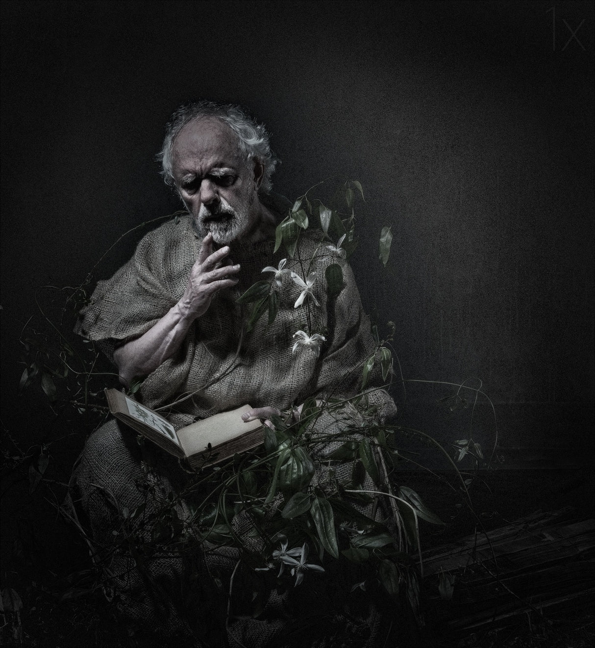 The Thinker Poster och Canvastavla
