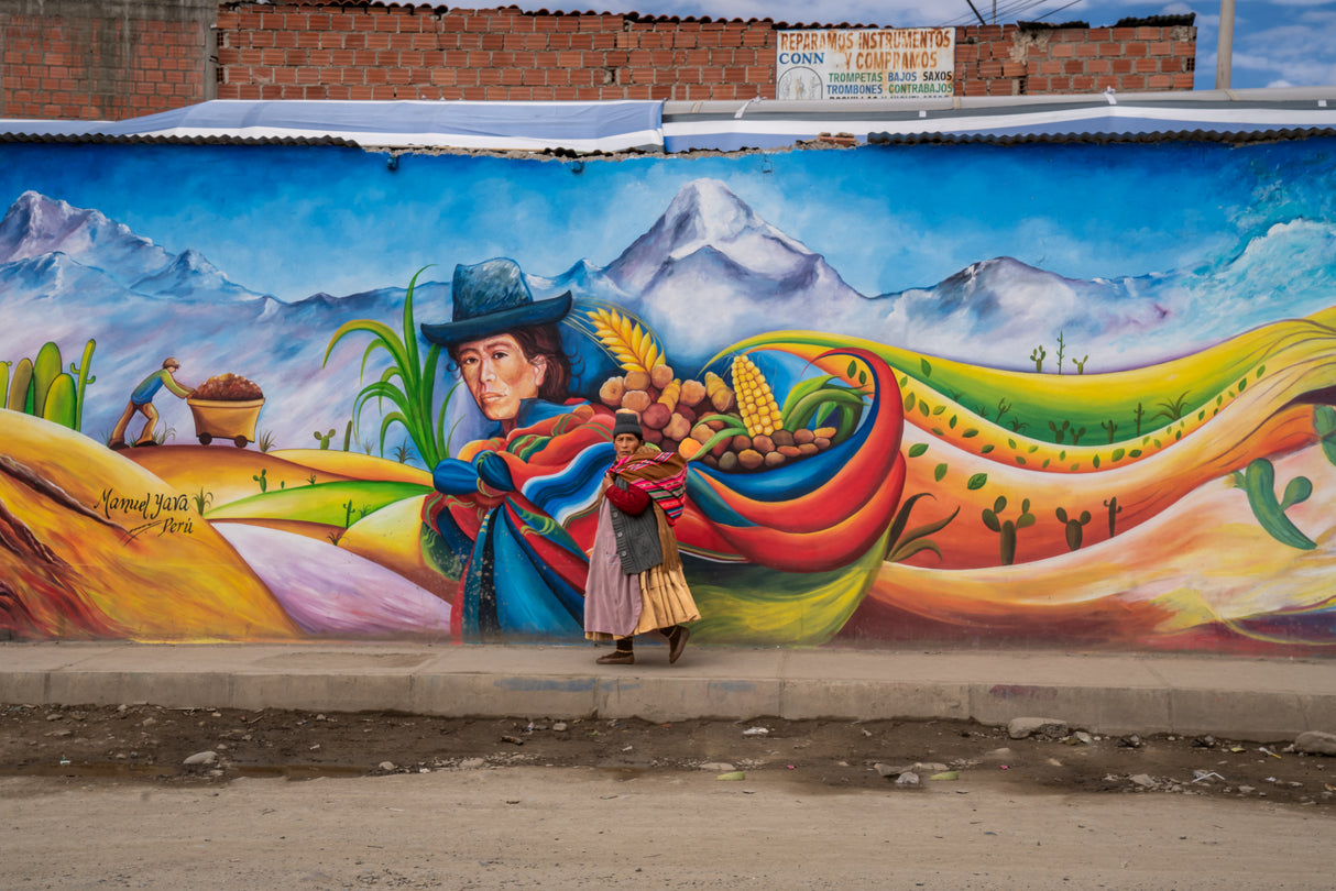 Street in Bolivia Poster och Canvastavla