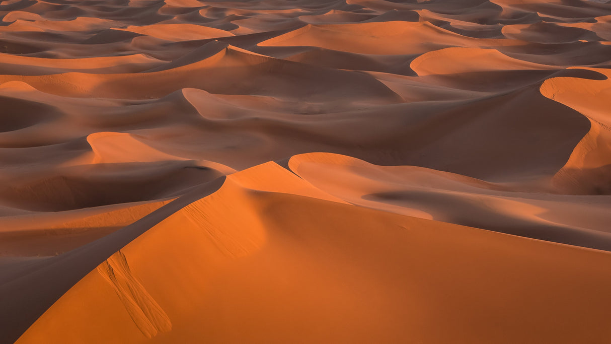 Dunes of the desert Poster och Canvastavla
