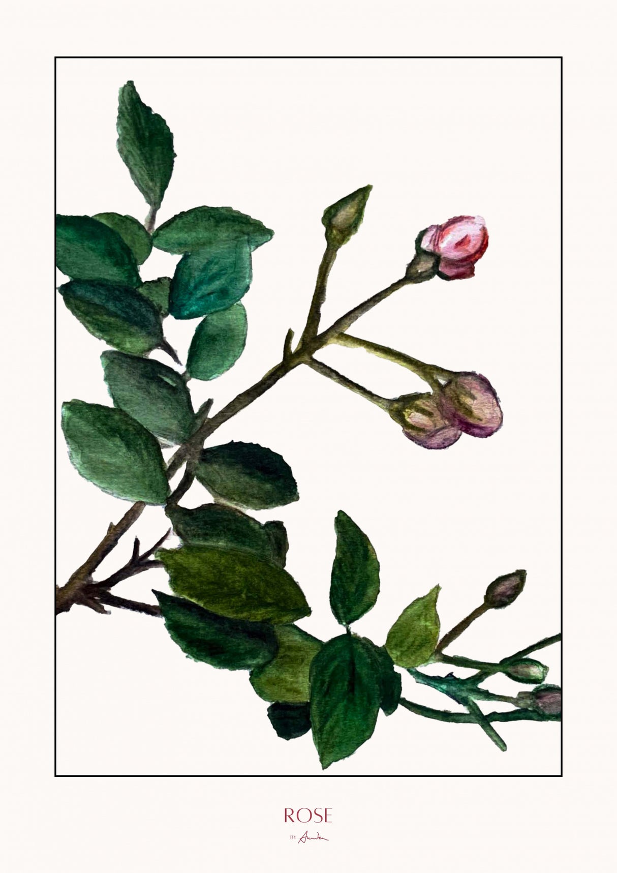 Rose Poster och Canvastavla