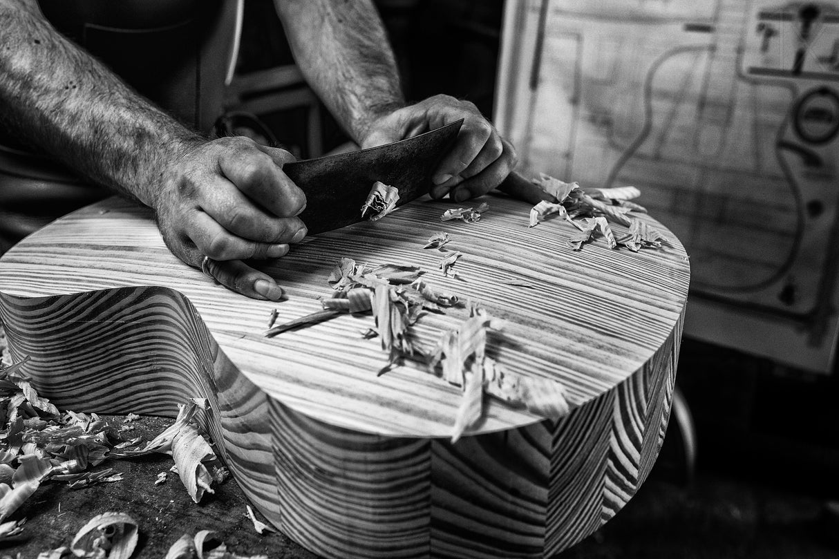 Le Luthier Poster och Canvastavla
