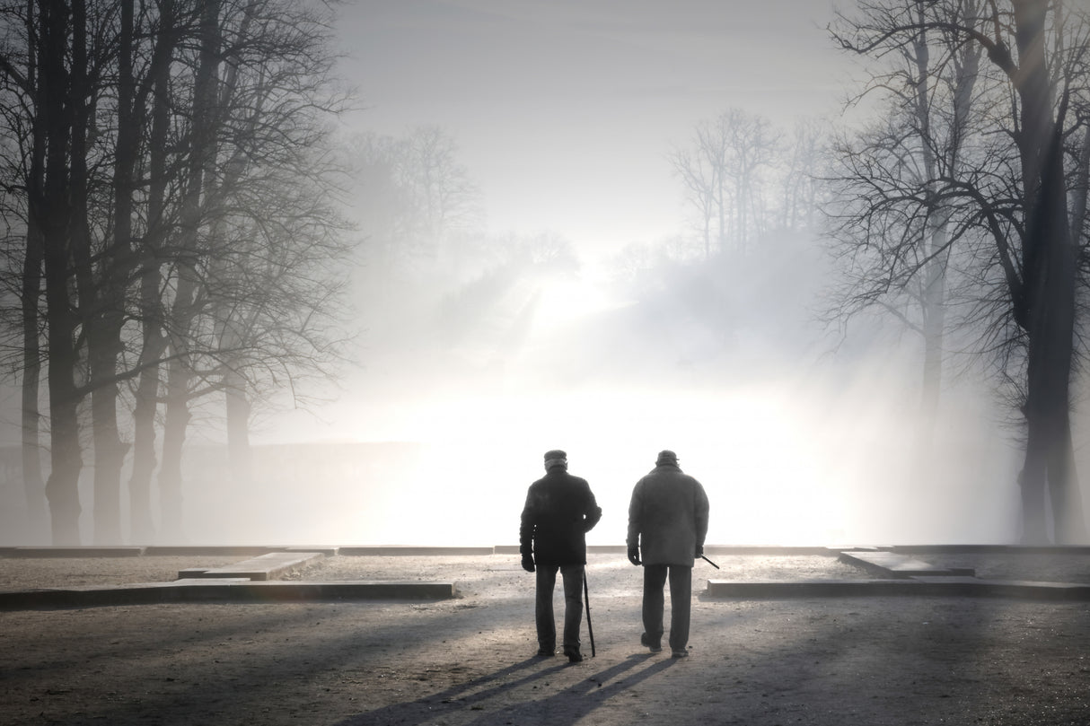 Foggy walk Poster och Canvastavla