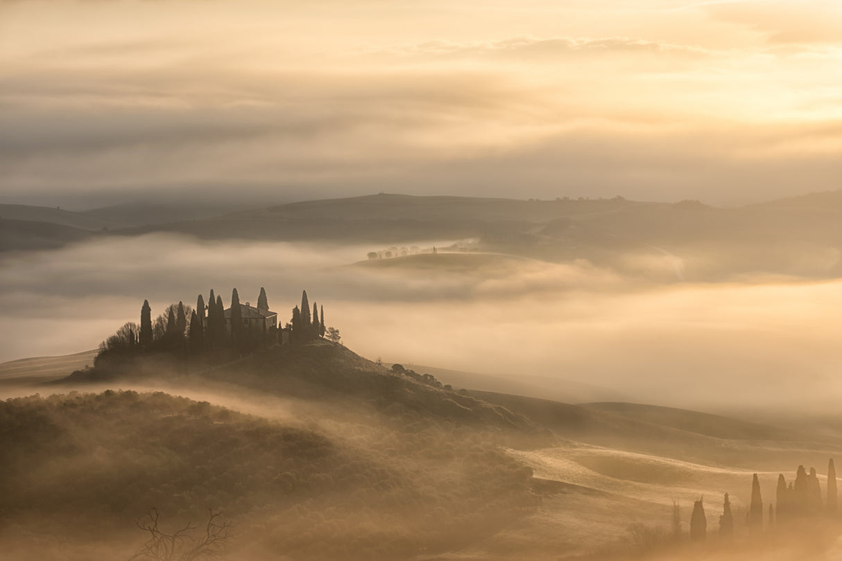 sunrise at belvedere Poster och Canvastavla