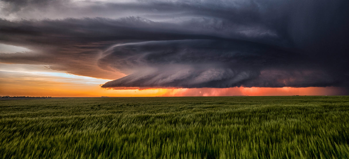 Leoti Supercell Poster och Canvastavla