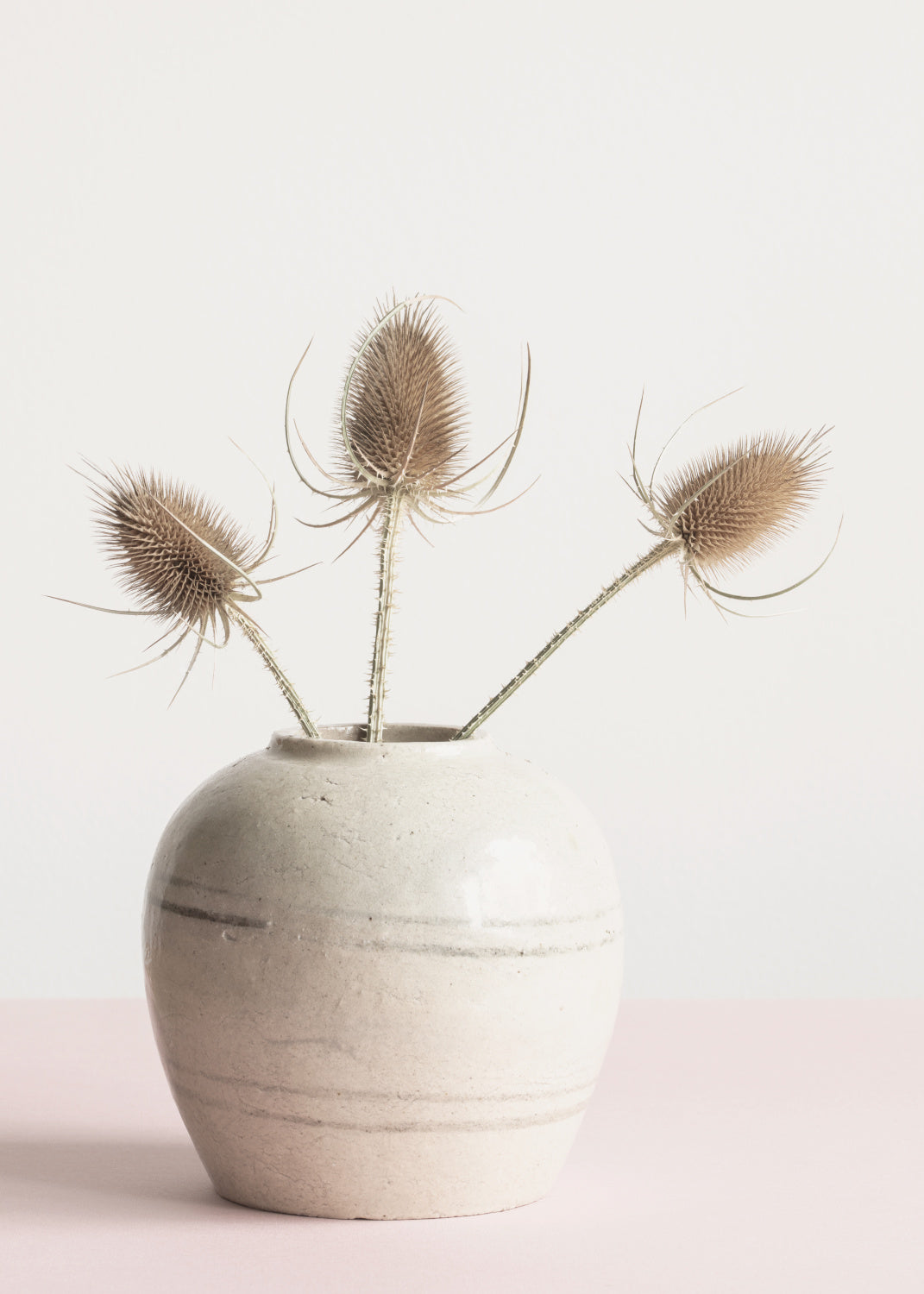 Dried flowers in vase Poster och Canvastavla
