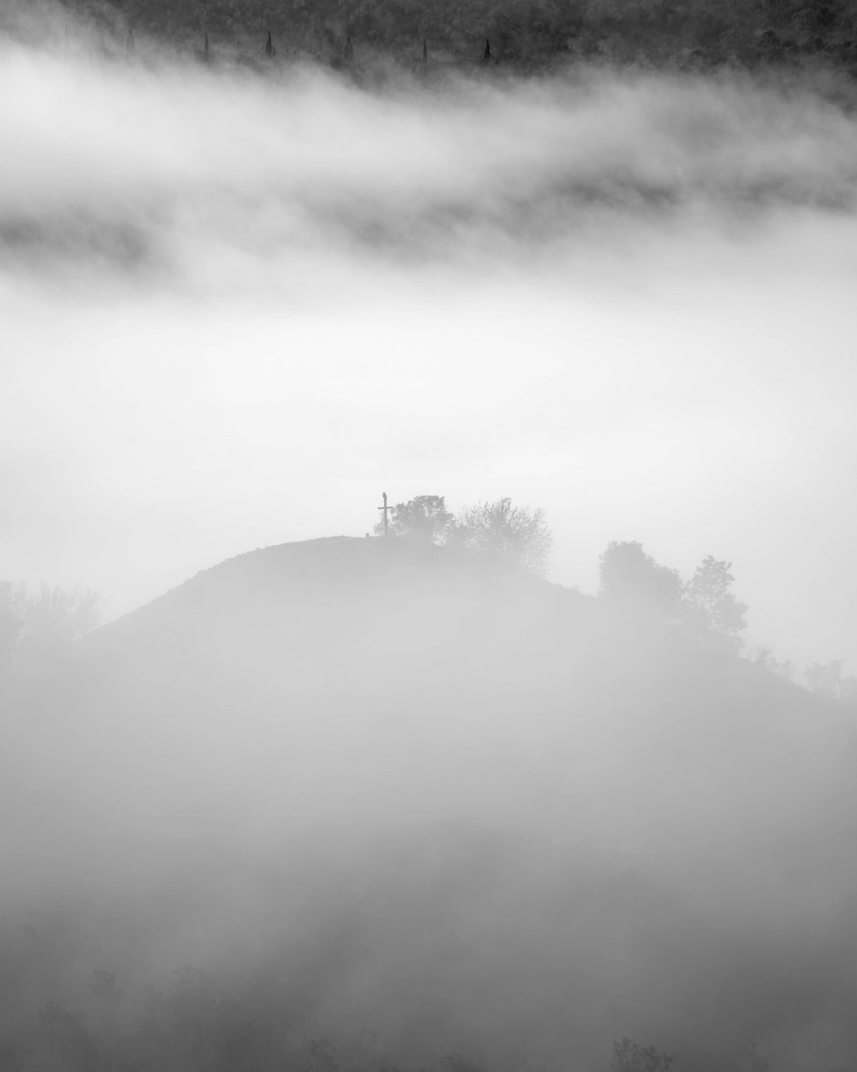 FOG MONRNING Poster och Canvastavla