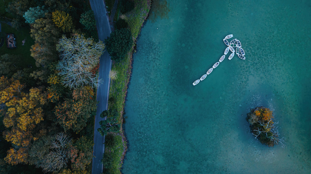 Swanbourne lake Poster och Canvastavla