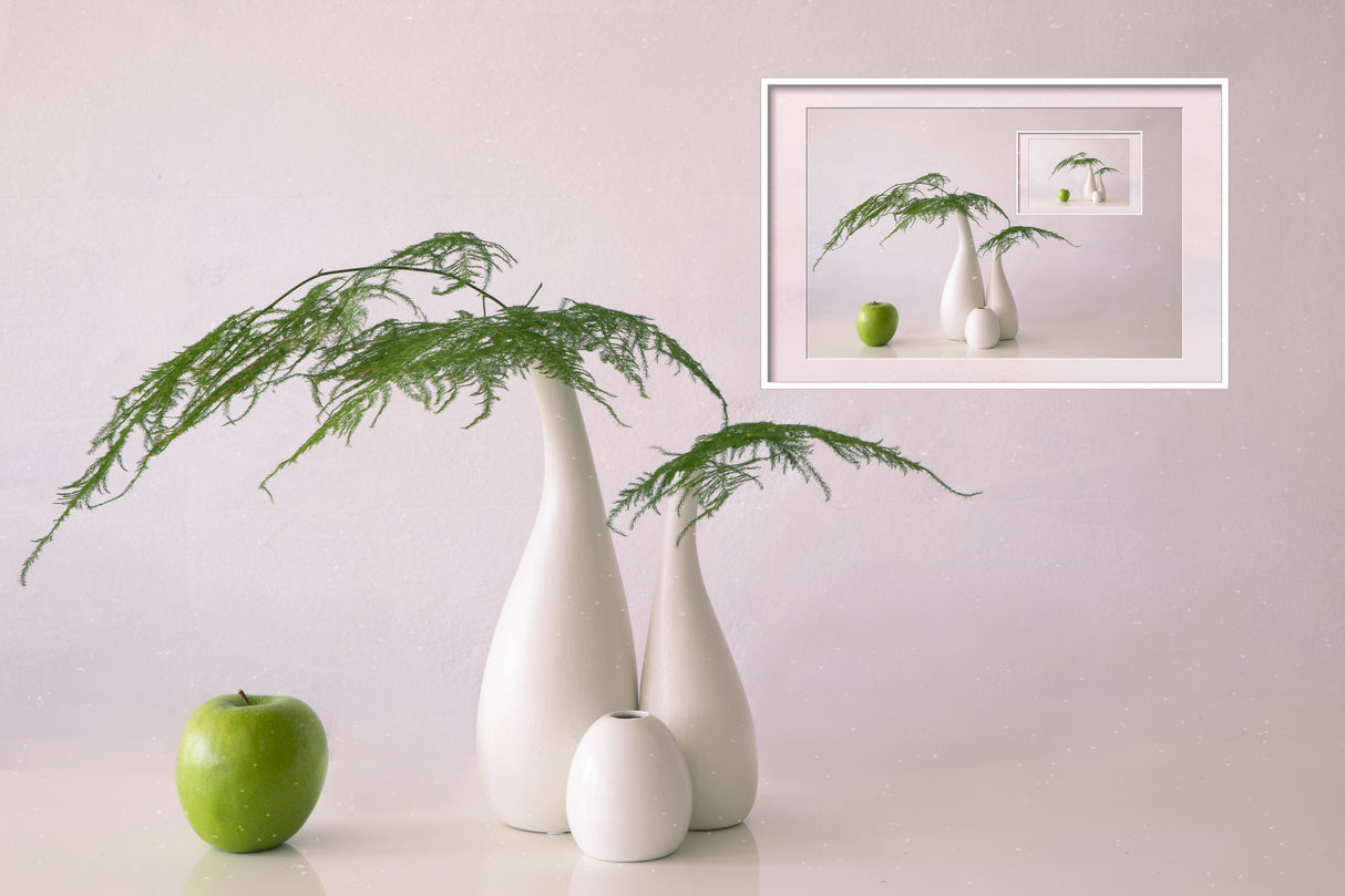 Asparagus fern & apple Poster och Canvastavla