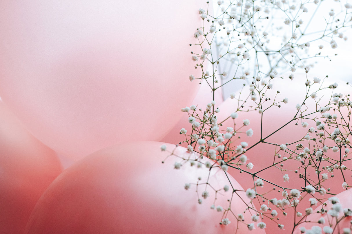 Blooms and Balloons - You plus me Poster och Canvastavla