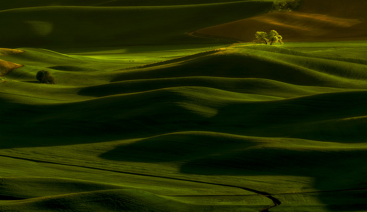 Spring Rolling Hills Poster och Canvastavla
