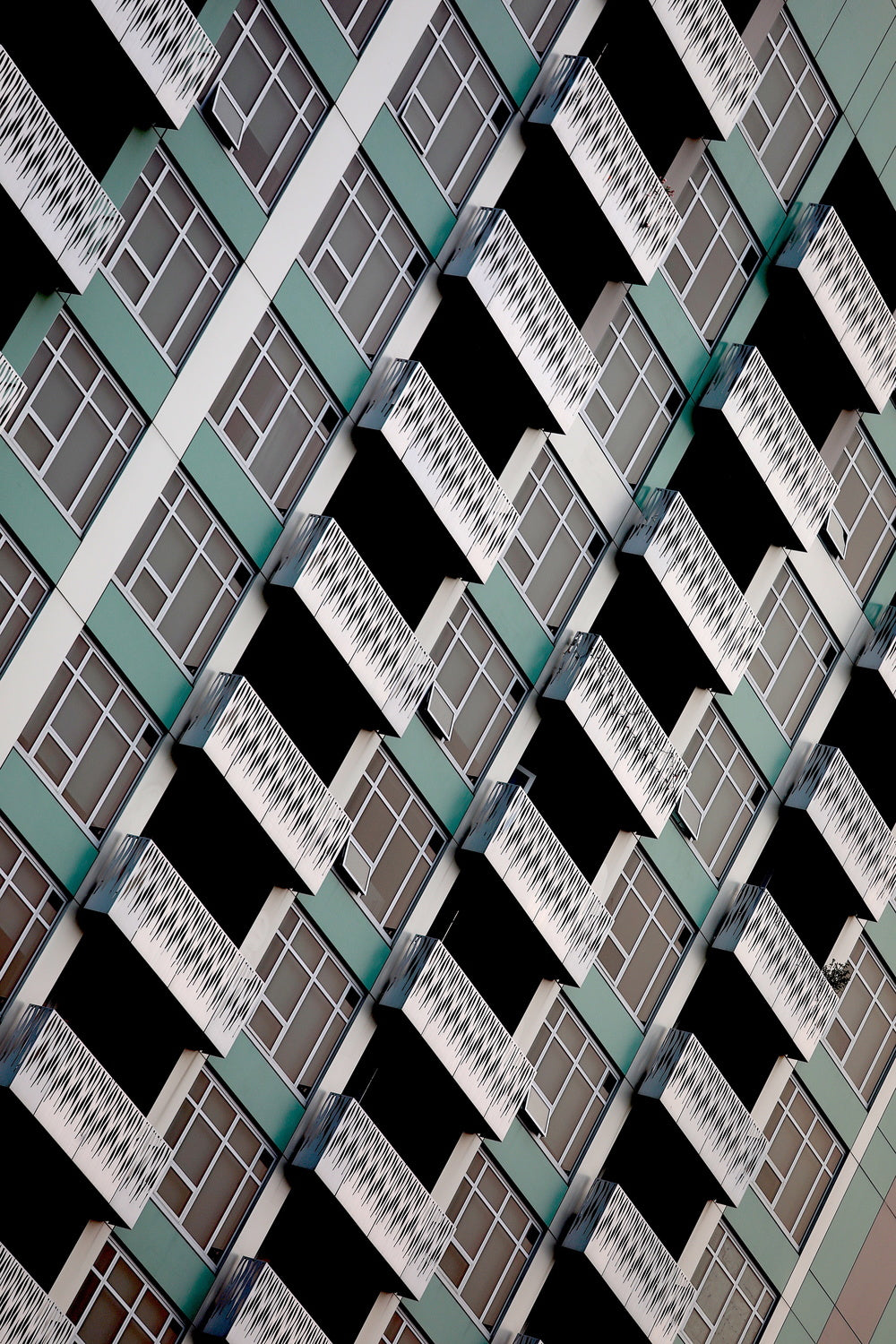 San Francisco's urban geometry Poster och Canvastavla