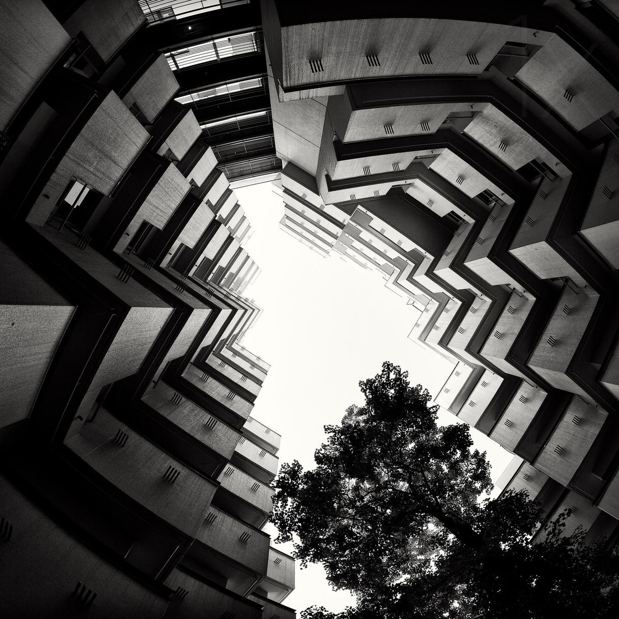 Villa Moderna Poster och Canvastavla