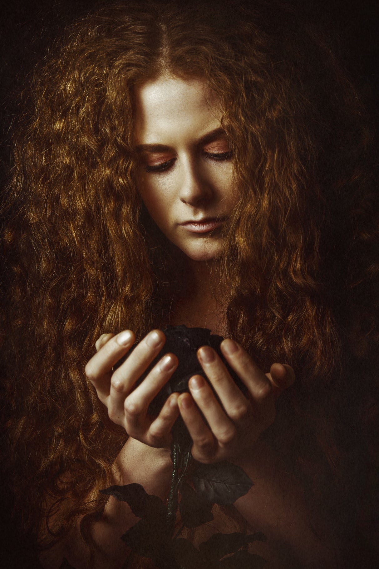 The Black Rose Poster och Canvastavla