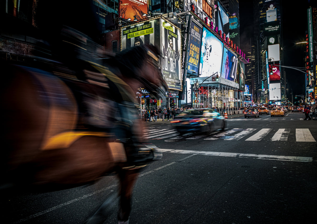 The horse that runs in Times Square Poster och Canvastavla