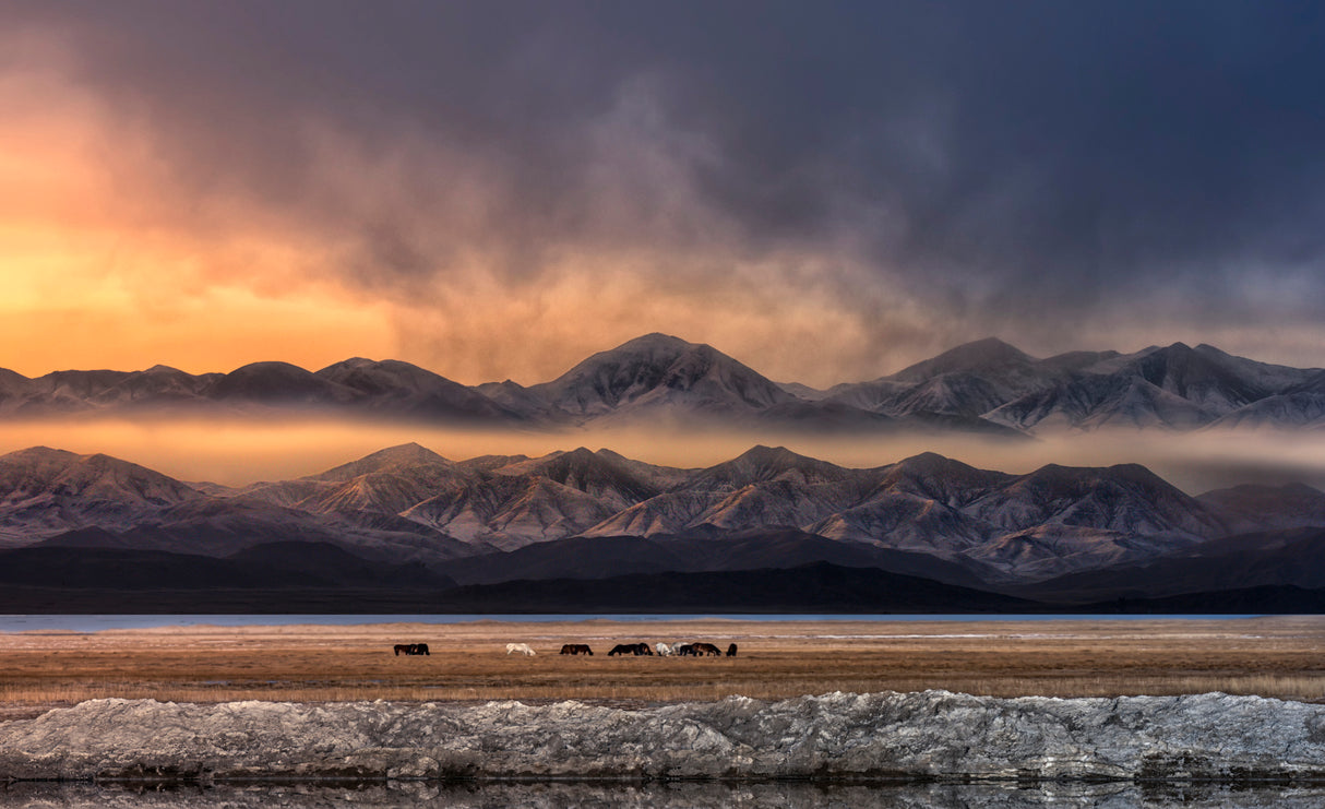 Qinghai (青海) Poster och Canvastavla