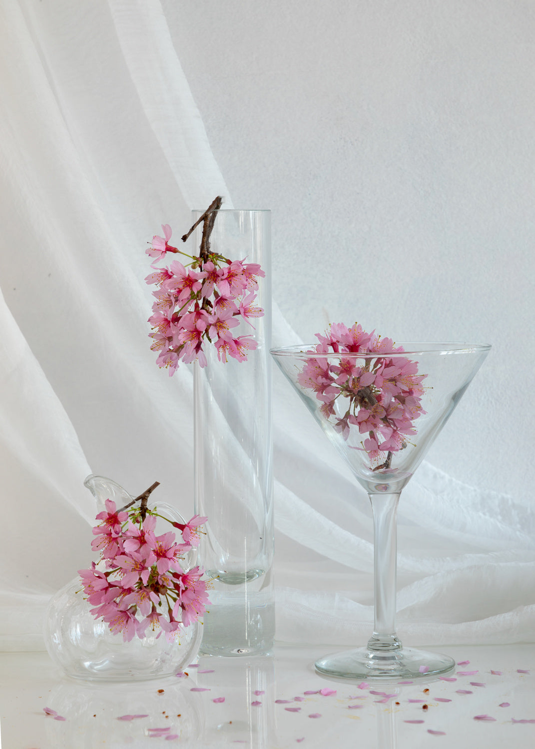 Prunus Cerasifera Poster och Canvastavla