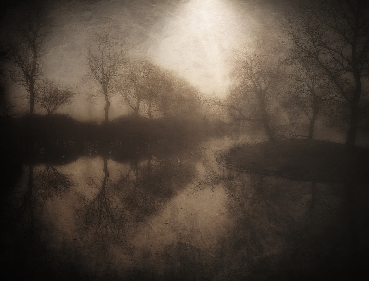 But soft, what light ........... Poster och Canvastavla