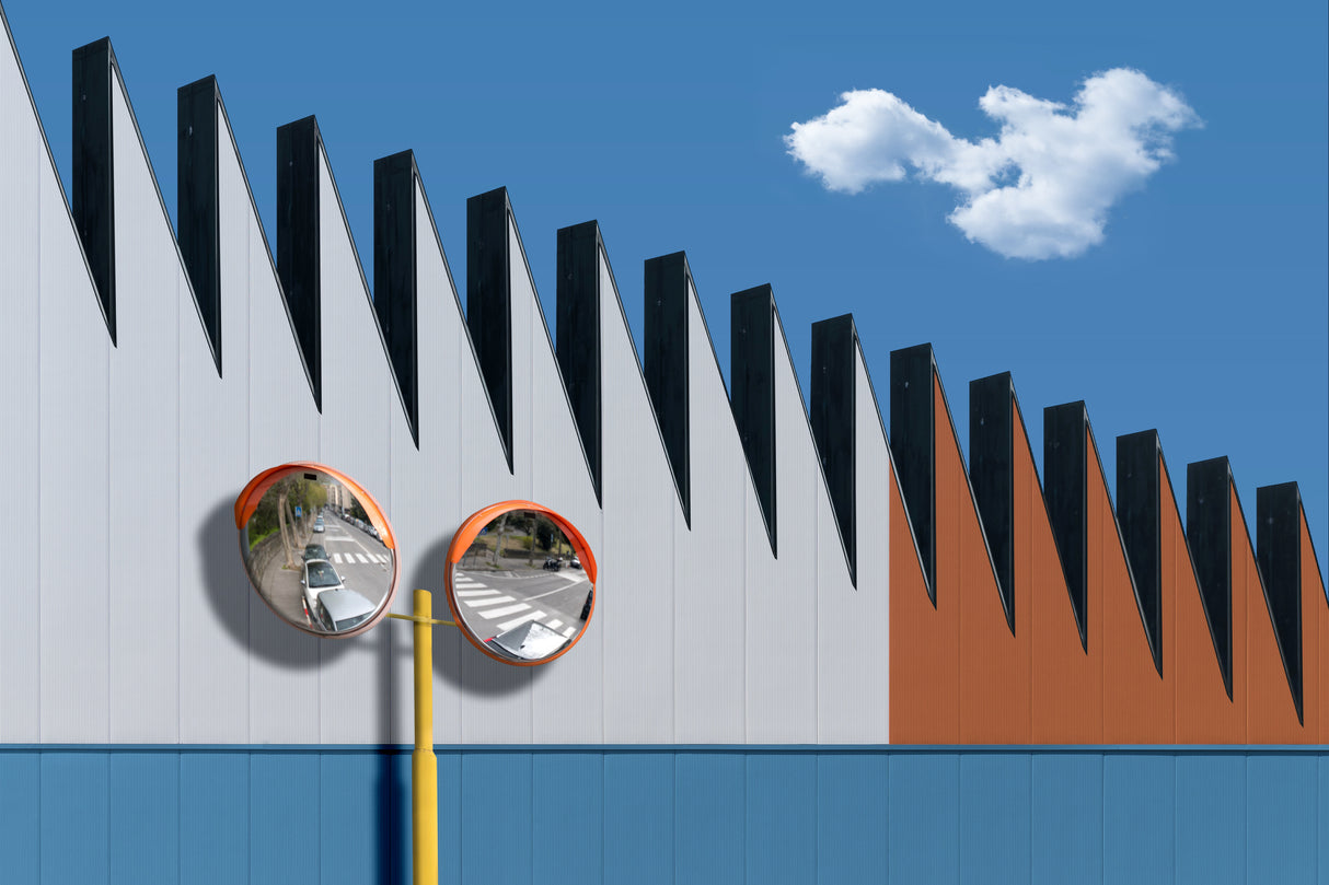 Twin Mirrors Poster och Canvastavla