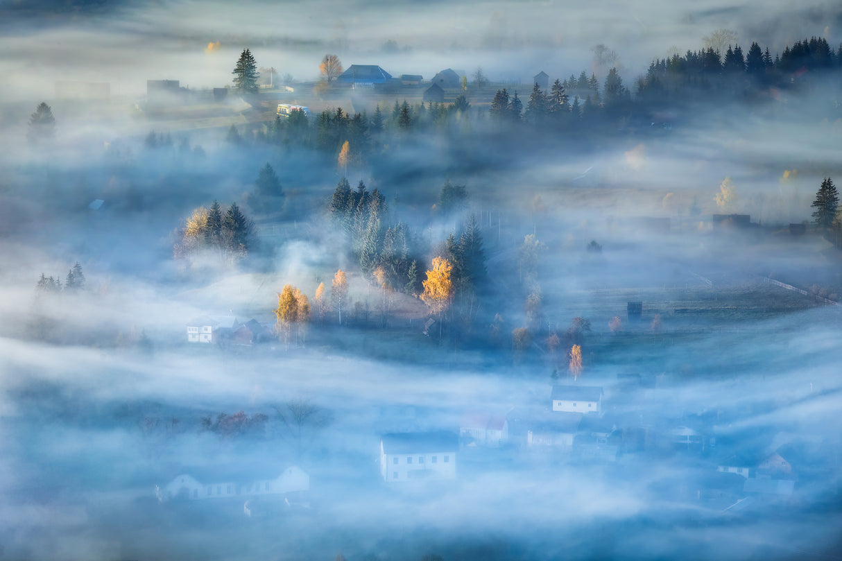 Morning Mist Poster och Canvastavla