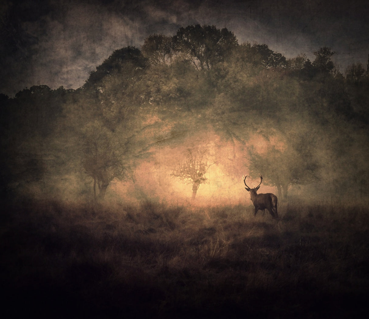 Someday Some Morning Sometime Poster och Canvastavla