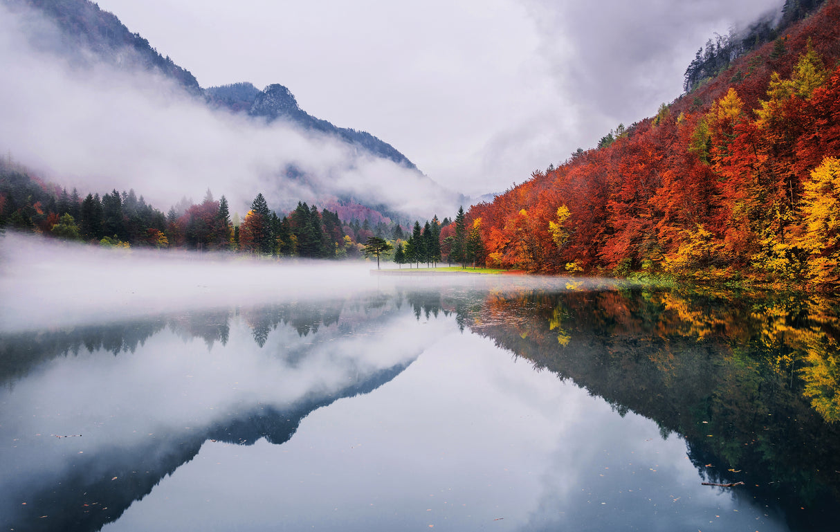 Autumn reflections Poster och Canvastavla