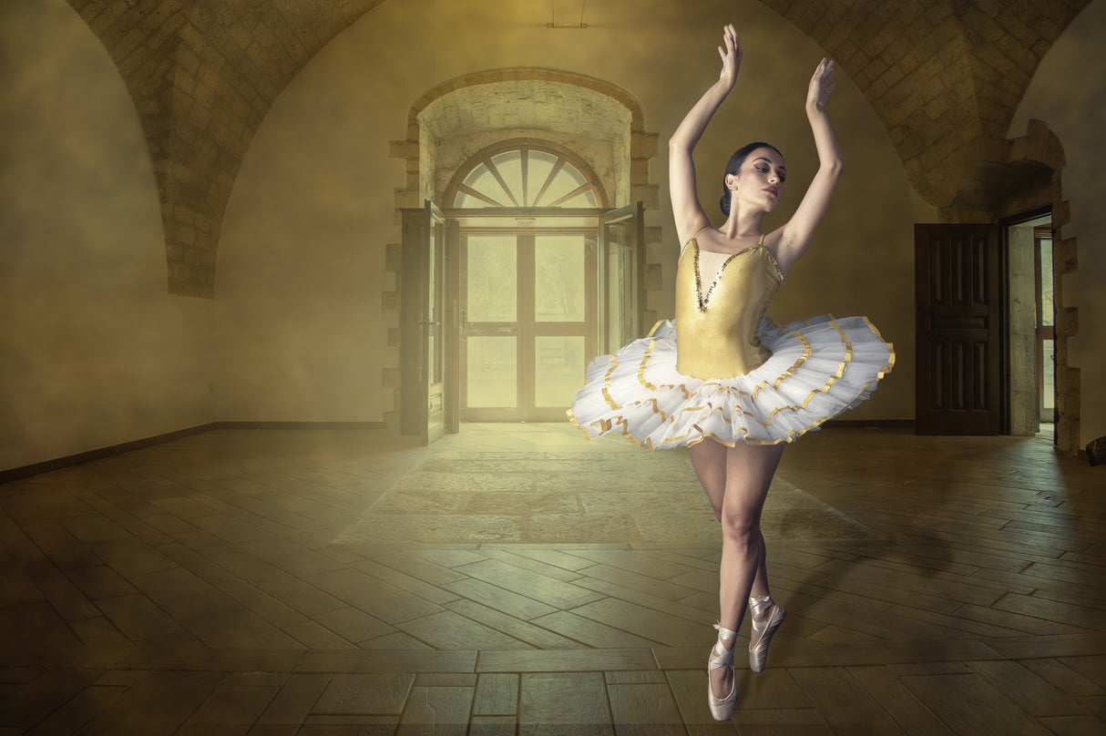Ballet Poster och Canvastavla