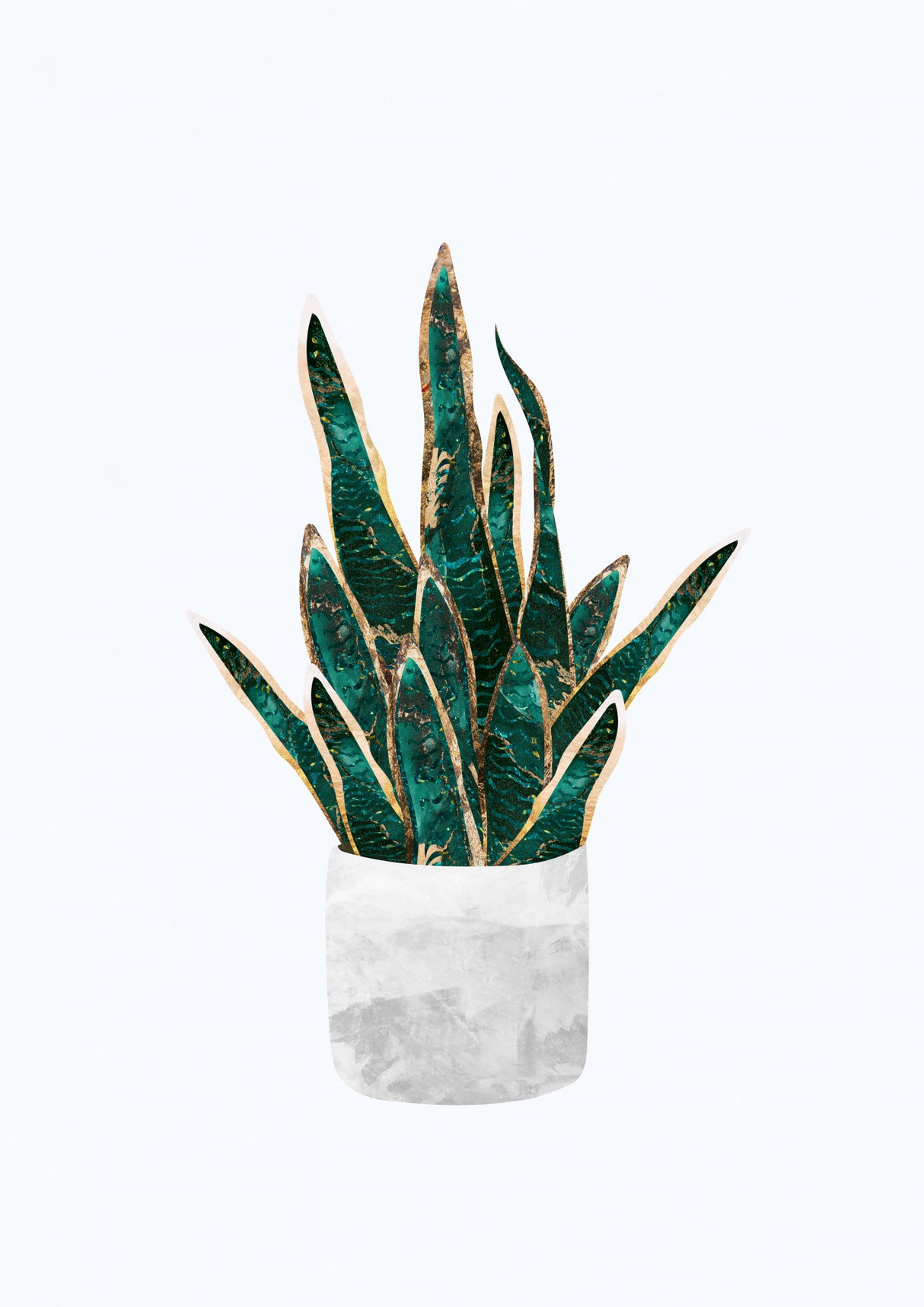 Snake Plant Poster och Canvastavla