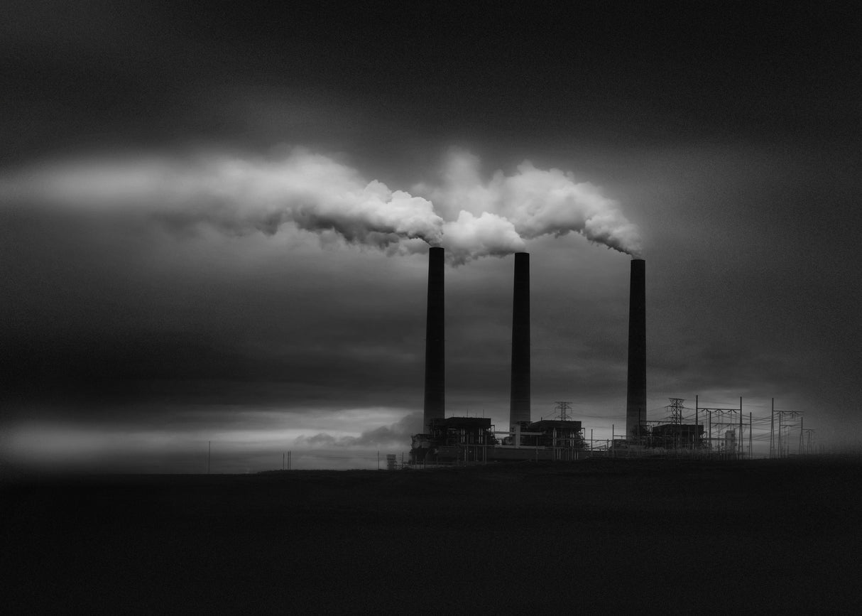 Clean smoke? Poster och Canvastavla