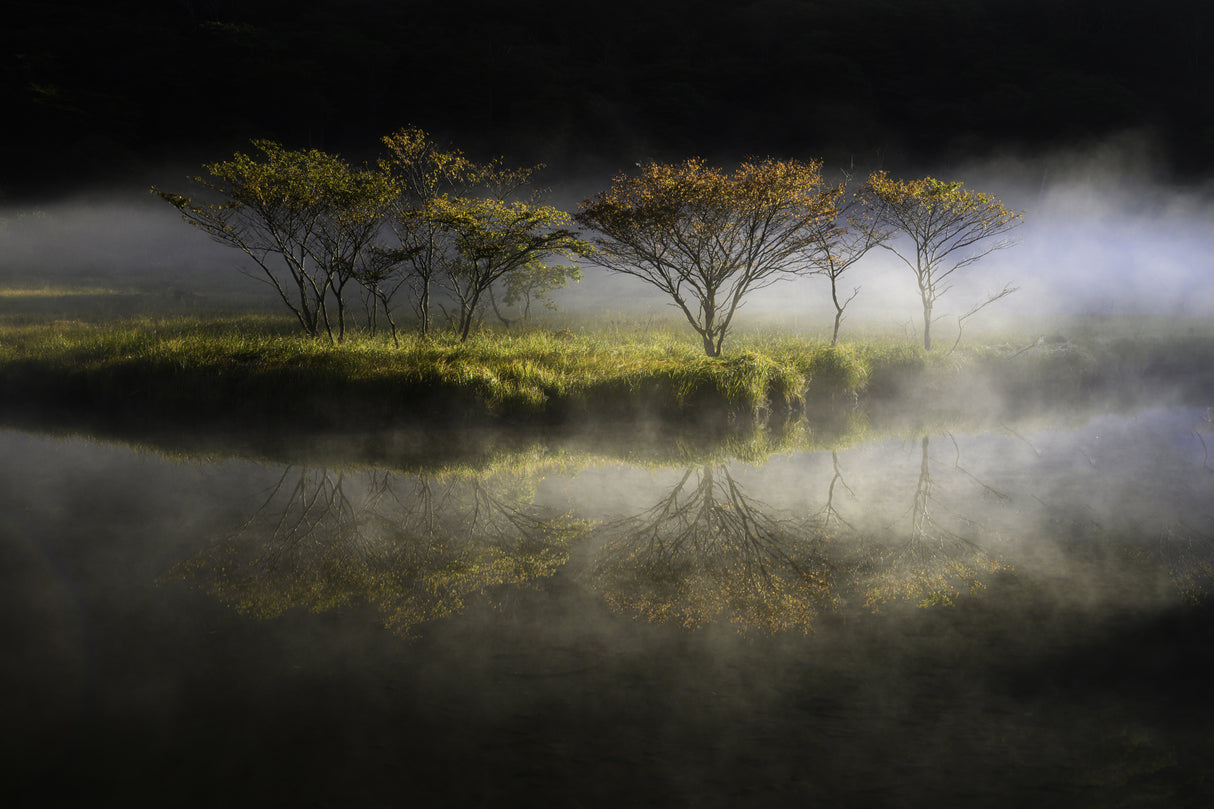floating in the fog Poster och Canvastavla