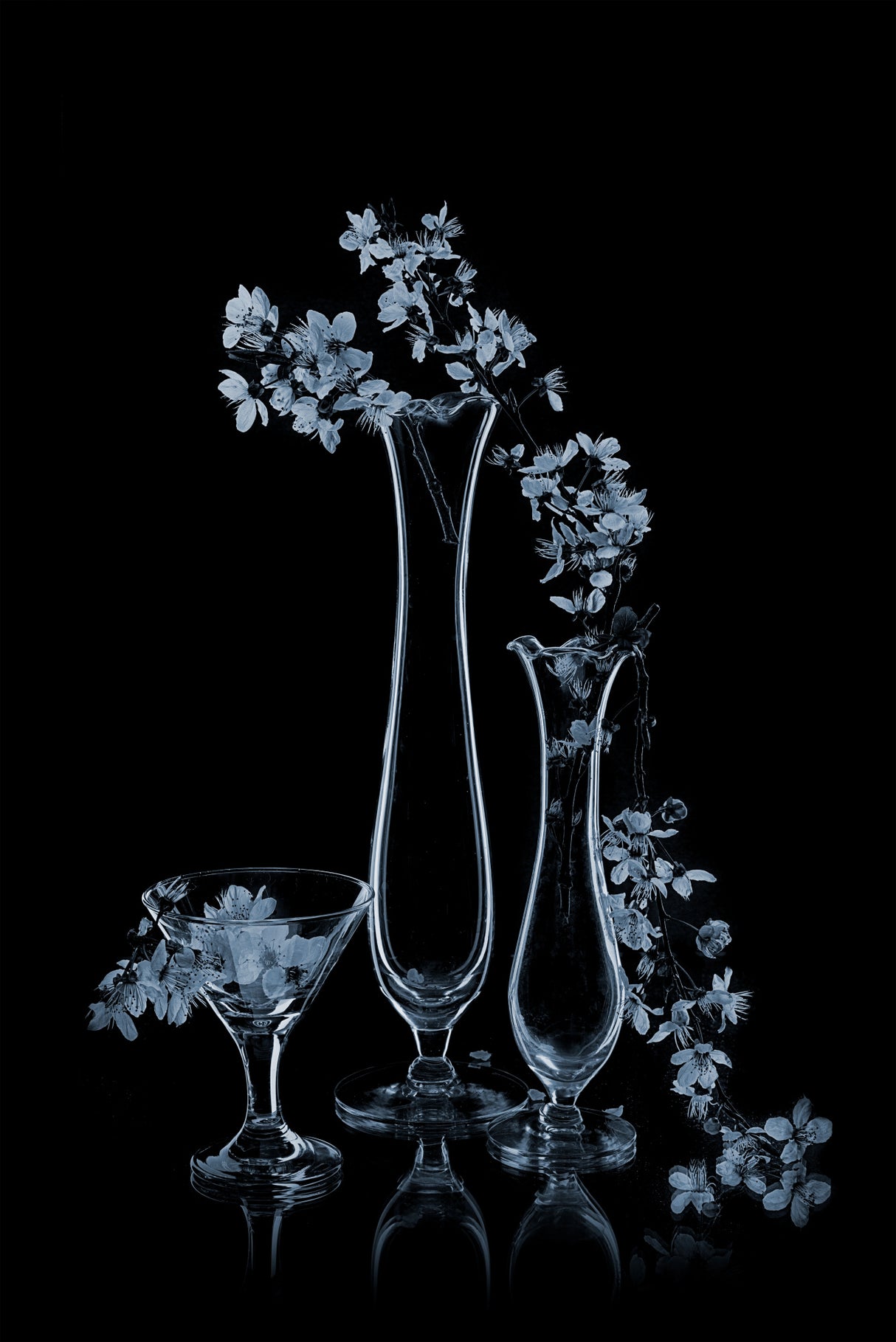 Delicate Prunus Cerasifera Poster och Canvastavla