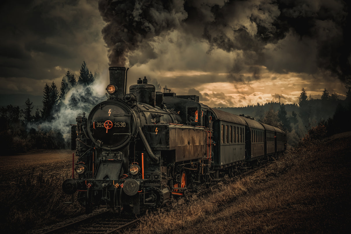 Gold digger train Poster och Canvastavla