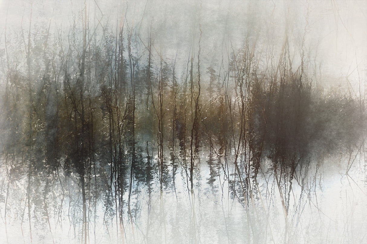 Day dreams Poster och Canvastavla