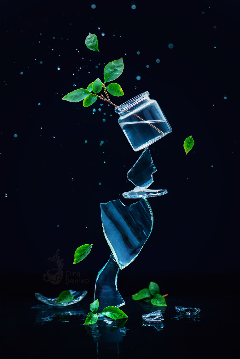 Fragil Leaves Poster och Canvastavla