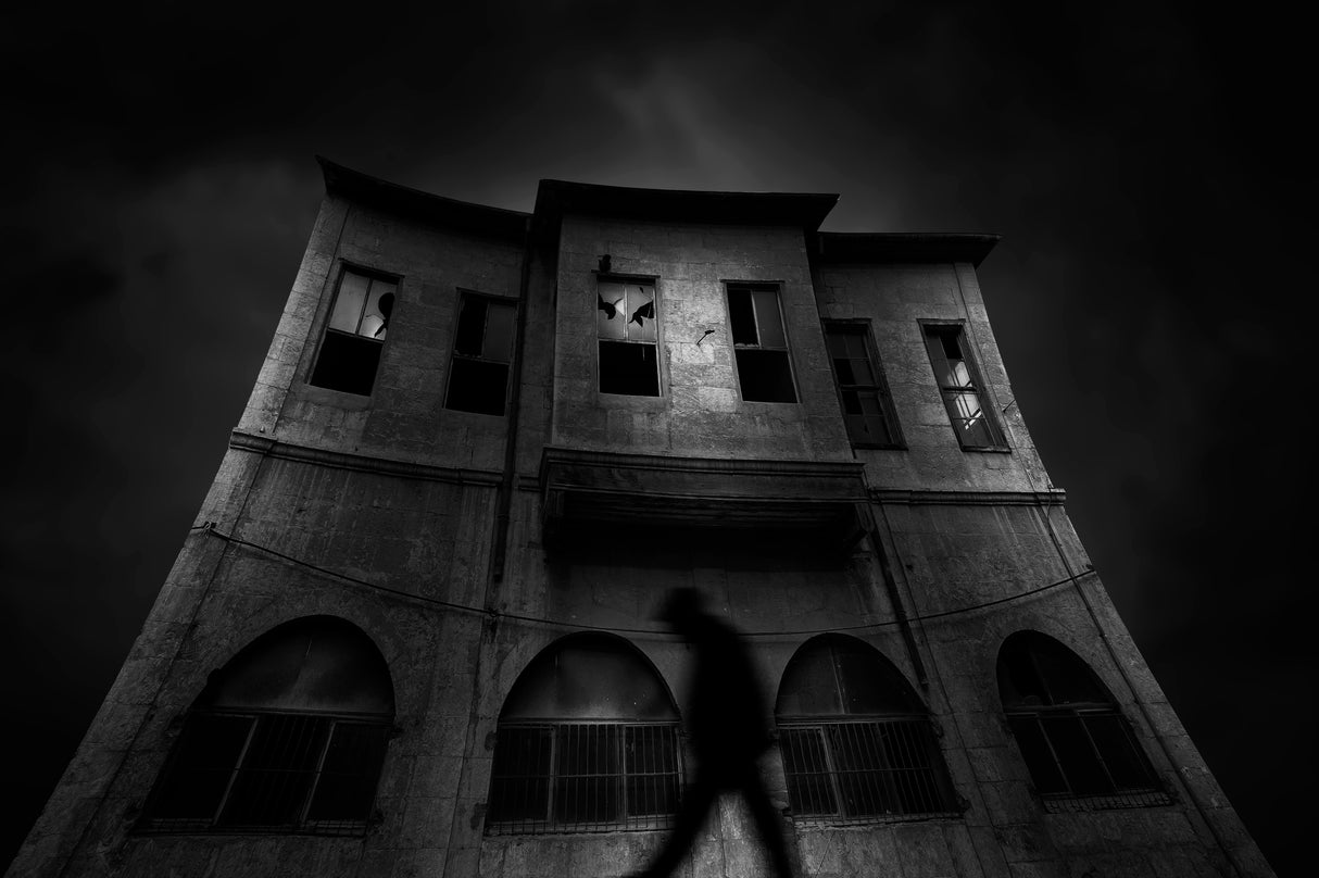 THE GHOST Poster och Canvastavla