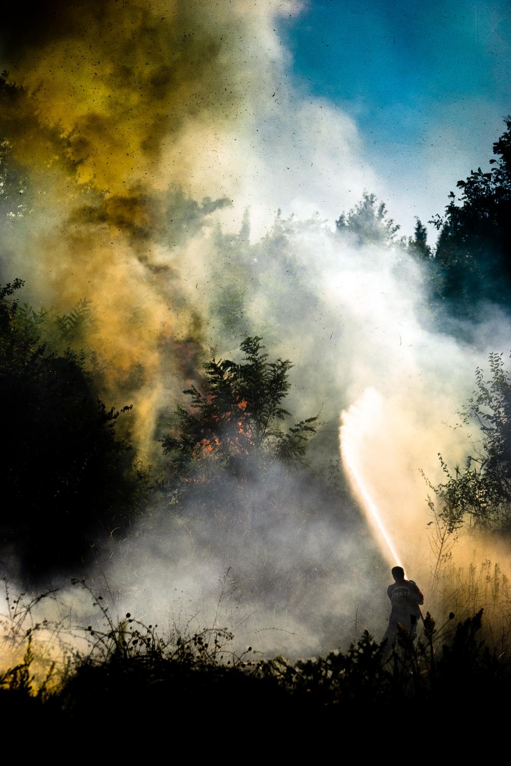 Fireman Poster och Canvastavla